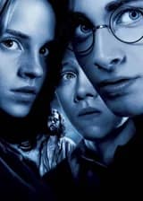 Гарри Поттер: Учитель, рожденный Магглом