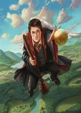 Гарри Поттер : Сужденный шанс