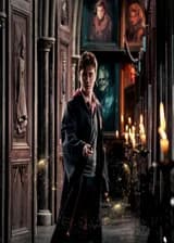 Гарри Поттер : Душевные порывы