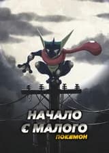 Покемон: Начало с малого