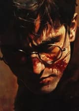 Гарри Поттер/Поиск Поттера
