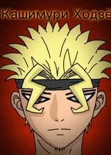 Покорение черной молнии