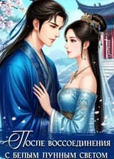 После воссоединения с Белым лунным светом