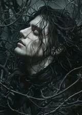 Гарри Поттер: Секреты Регулуса Блэка