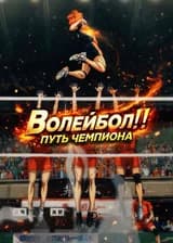 Волейбол!!! Путь Чемпиона