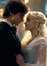 Гарри и Лу́на Поттер и убийца-загадочник