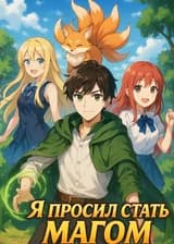 Я просил стать магом