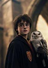 Гарри Поттер/Зелье наследия