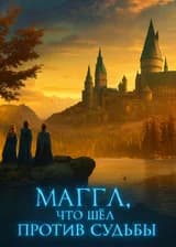 Гарри Поттер: Маггл, что шёл против судьбы
