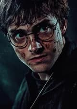 Гарри Поттер/Книжный магазин