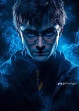 Гарри Поттер/Восстание черного феникса