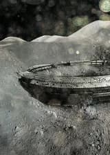 Аргус- статус зеро