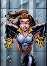 Наследник Мудреца