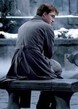 Гарри Поттер: Сопротивление Азкабана