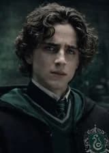 Гарри Поттер: Новая судьба Регулуса Блэка