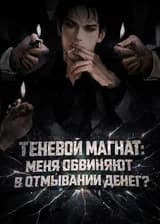 Теневой магнат: Меня обвиняют в отмывании денег?