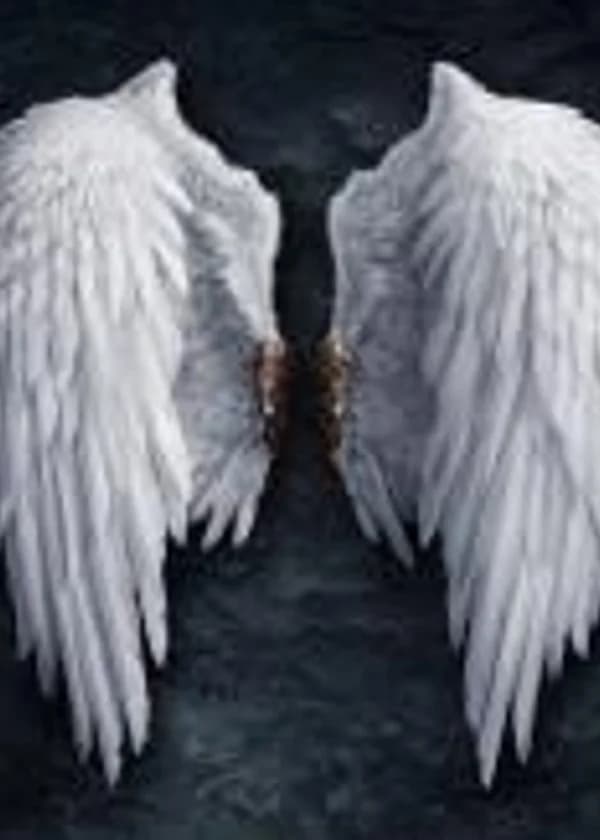 Одинокий свет