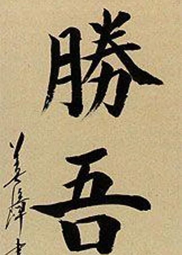 Путь самурая