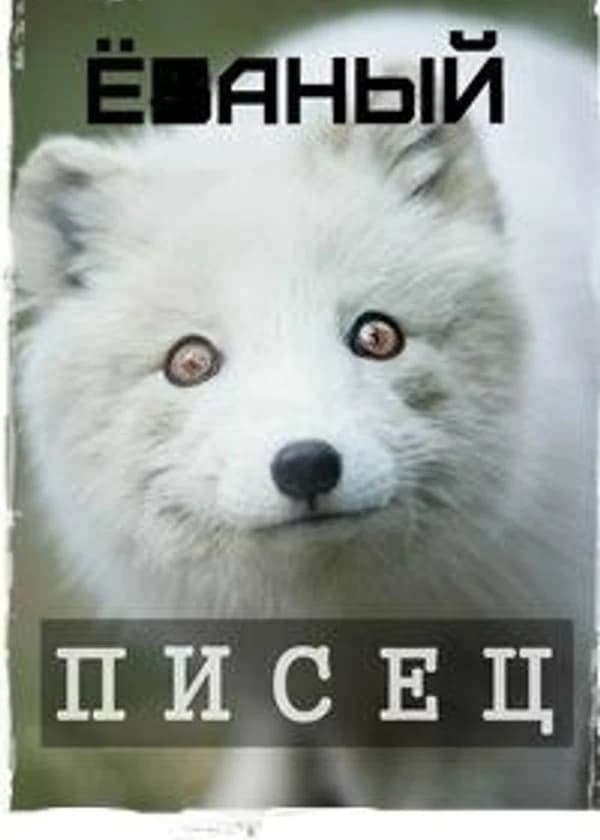 Перерождение В Писца