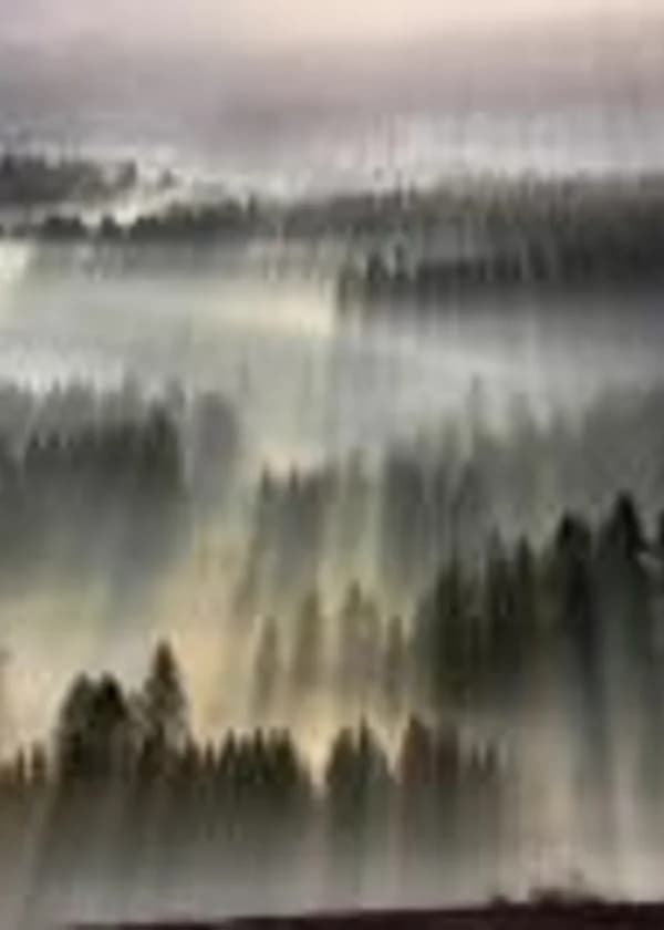 The Fog of the World