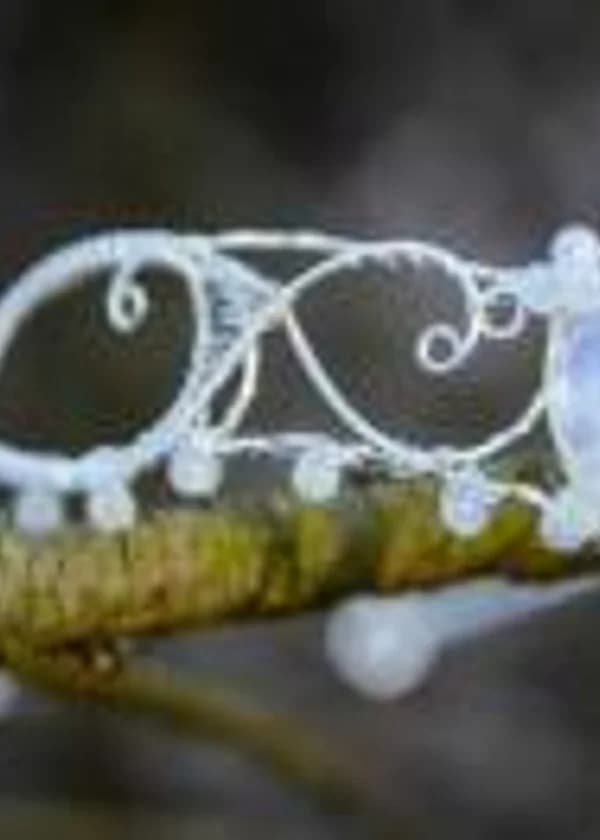 Лунная диадема