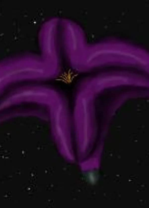 Бесконечная Жизнь.