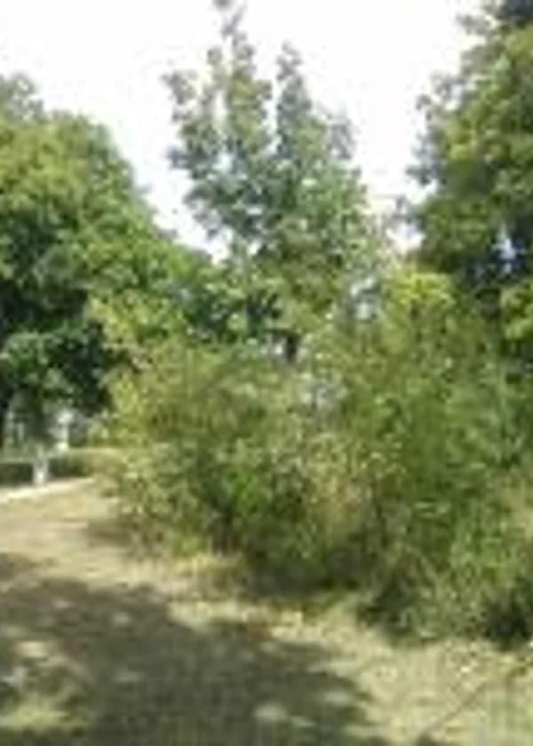 Кровь истинного бога смерти или как я стал богом смерти.