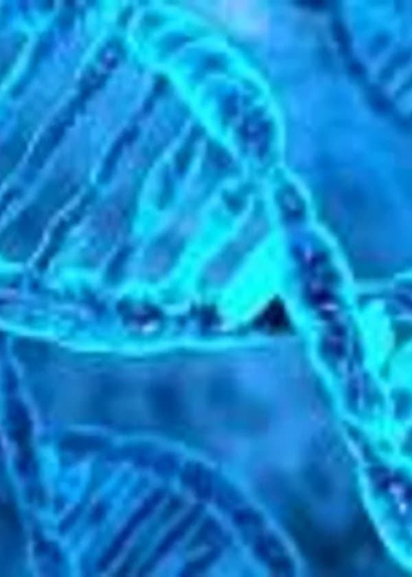 Ошибка на счастье