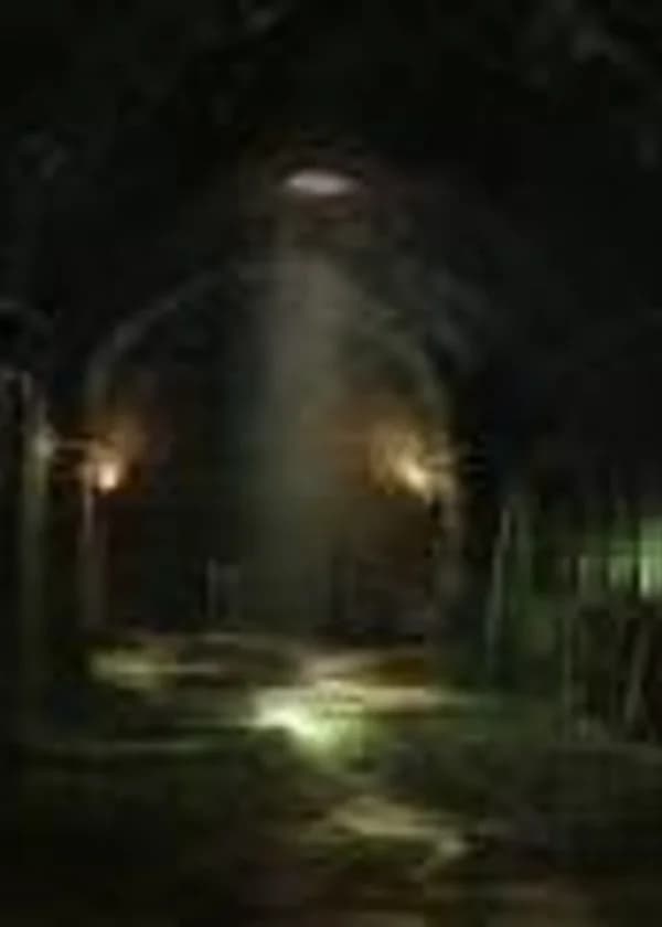 Мой туалет стал подземельем и моя жизнь слишком усложнилась.