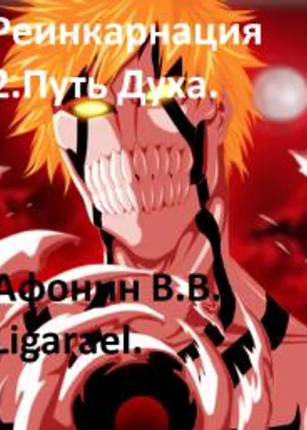 Реинкарнация 2. Путь Духа.