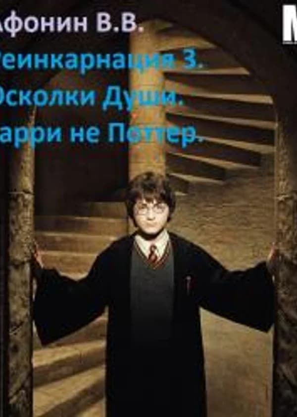 Реинкарнация 3. Осколки Души. Гарри не Поттер.