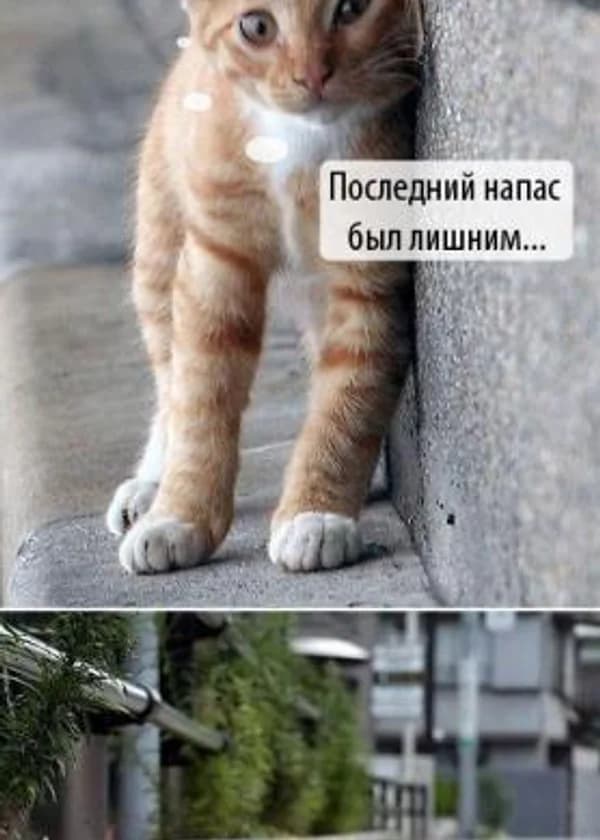 «Фантастические идеи третийца одного пыльного шарика тусклой звезды»