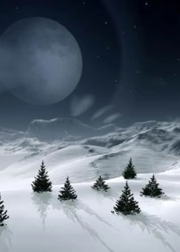 Обычные странники необычного мира