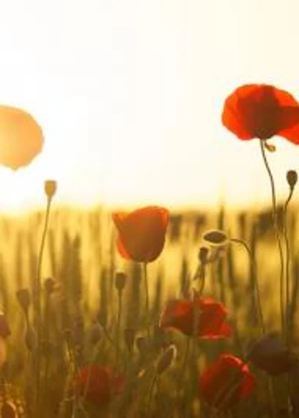 Конструктор