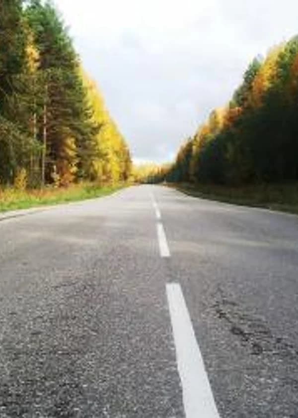 Торжество извращенной логики