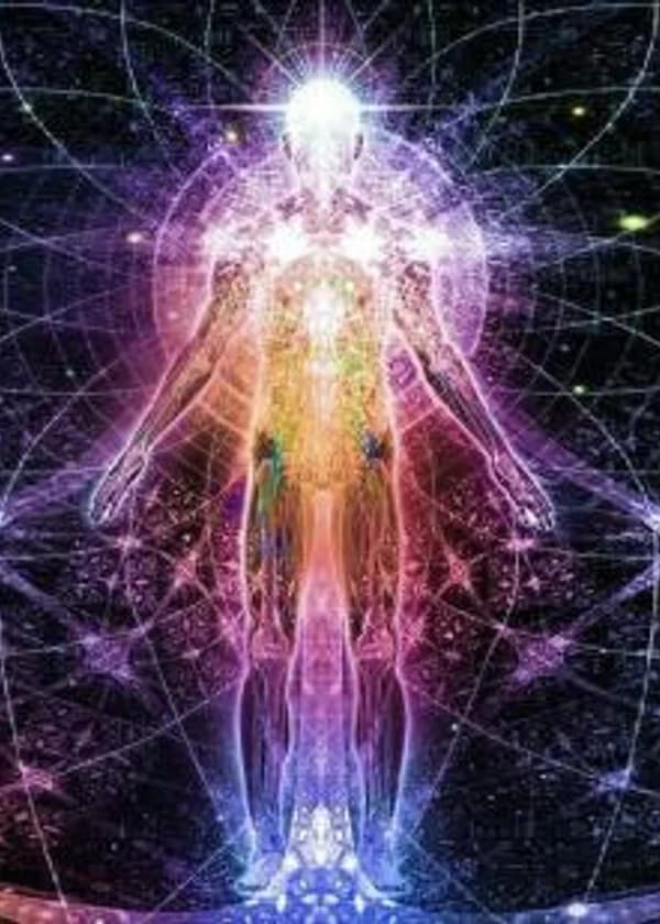 СистемаЕжедневник Тернистого Пути