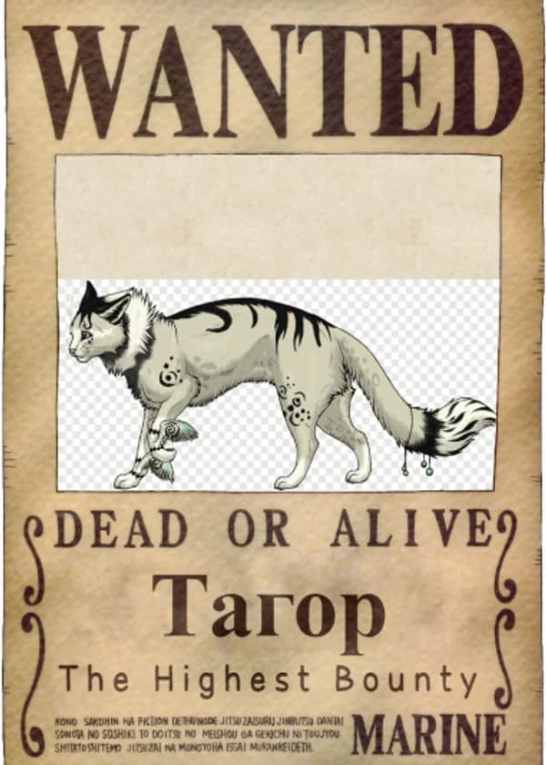 Дорога грёз (One Piece в Космосе)