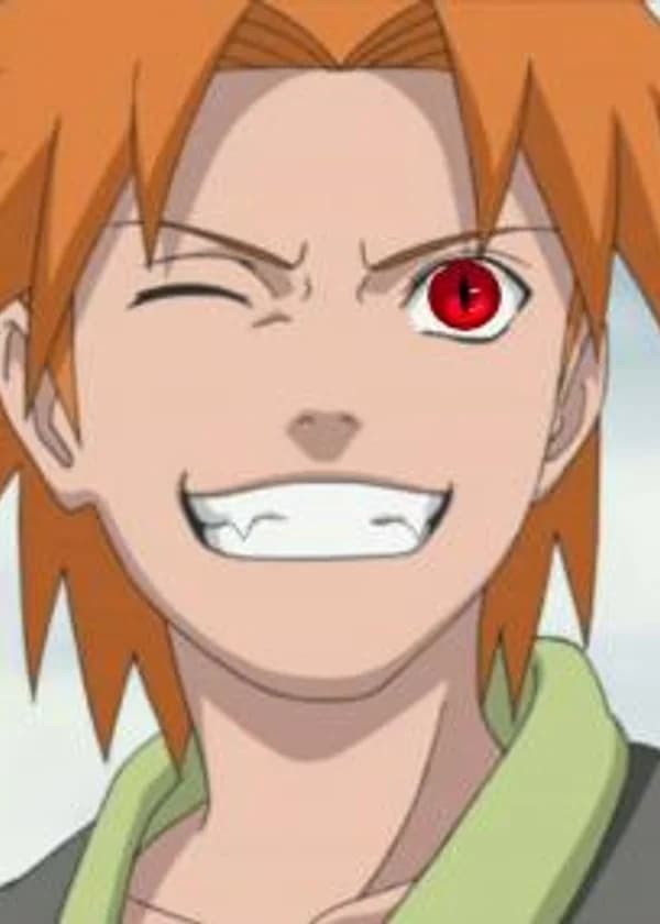 Книга 1. Лис.