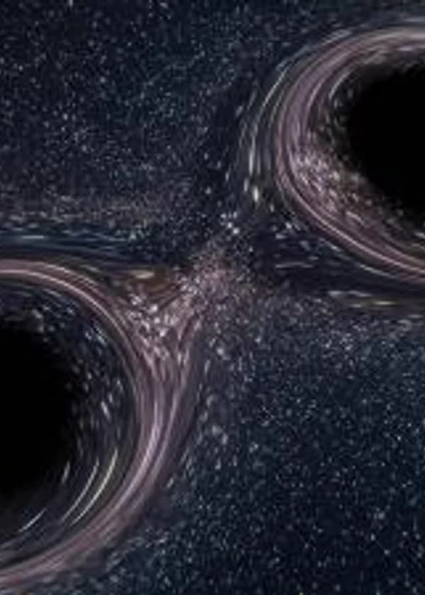 Блудный брат