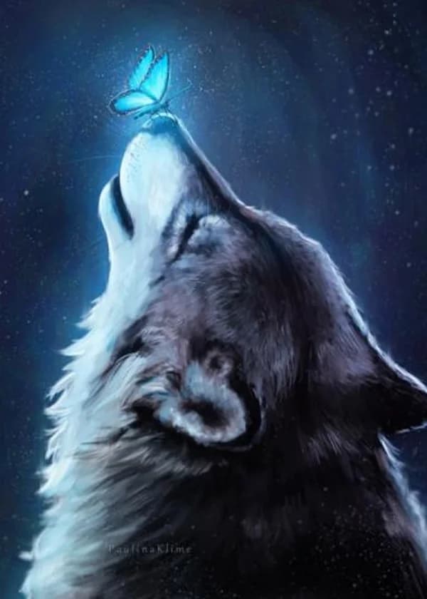 Святой Волк... или?