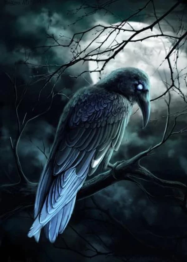 Чёрный ворон