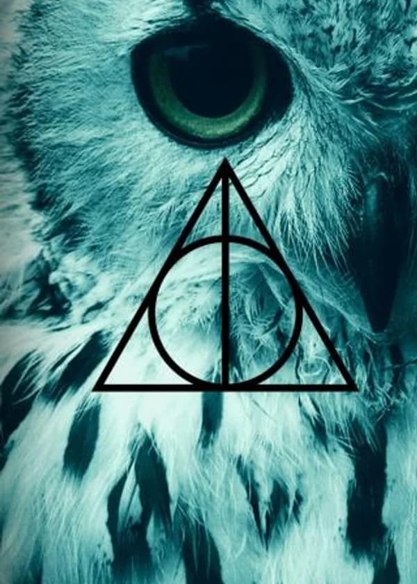 Гарри Поттер: Король мира кино