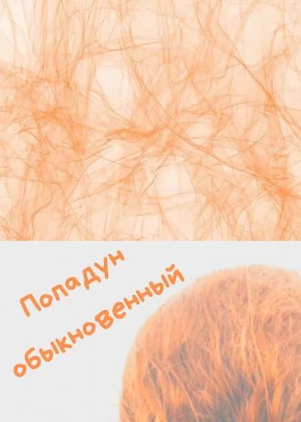 Попадун обыкновенный