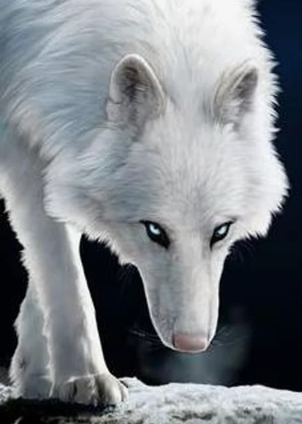 Любовь ликана