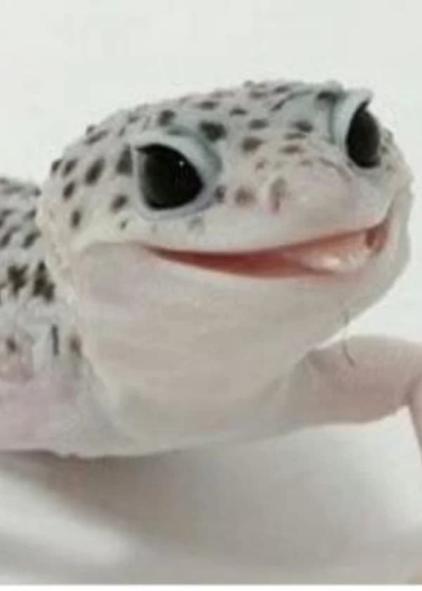 Рутариэрта. Новое сказание о не новом мире!