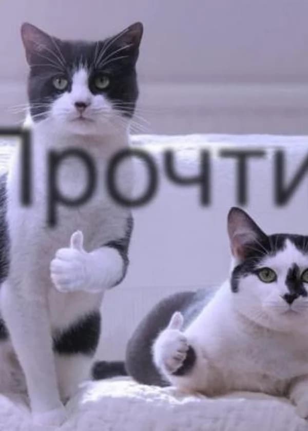 Путь вурдалака