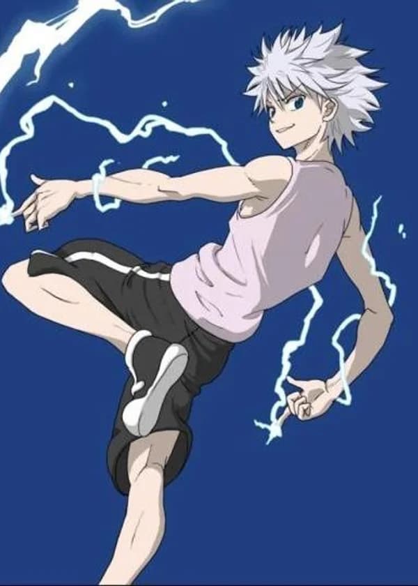 Хантер × Хантер: Система Божественного Выбора.