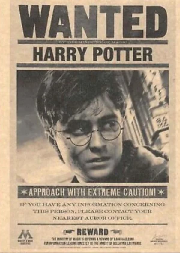 Гарри Поттер: В розыске