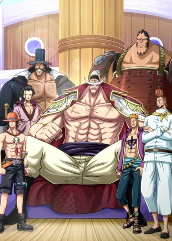 One Piece: Молодой пират