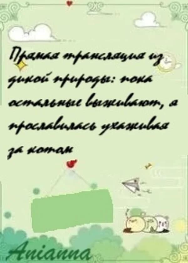 Прямая трансляция из дикой природы: пока остальные выживают, я прославилась ухаживая за котом